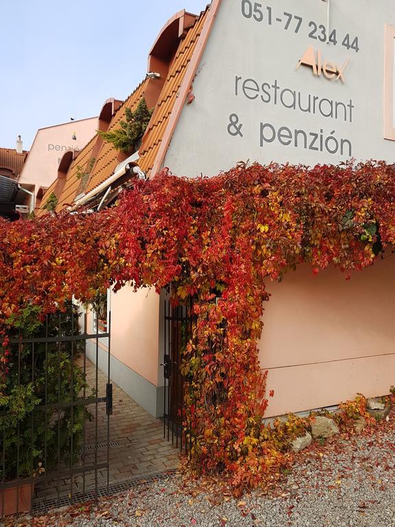 Alex Pension Prešov Extérieur photo